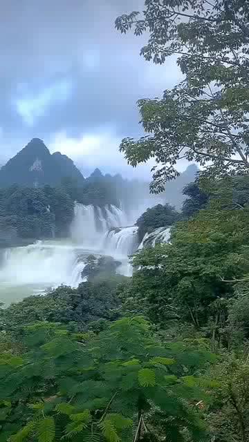 小萌兔的影分身